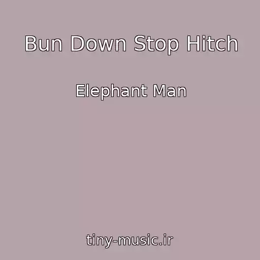 کاور آهنگ Bun Down Stop Hitch از Elephant Man
