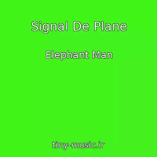 کاور آهنگ Signal De Plane از Elephant Man