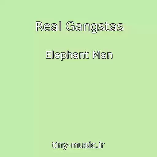 کاور آهنگ Real Gangstas از Elephant Man