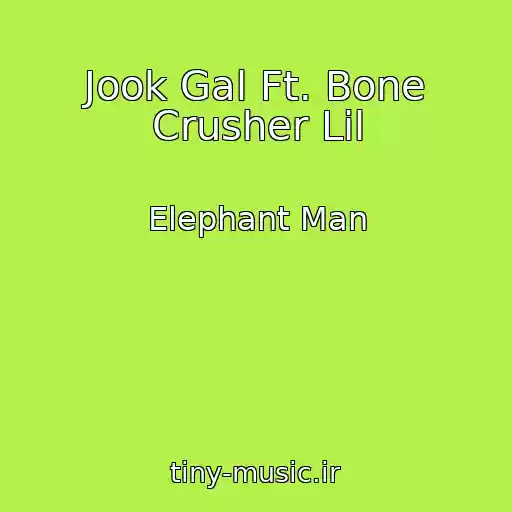 کاور آهنگ Jook Gal Ft. Bone Crusher Lil از Elephant Man
