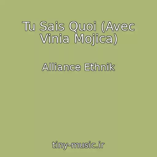 کاور آهنگ Tu Sais Quoi (Avec Vinia Mojica) از Alliance Ethnik