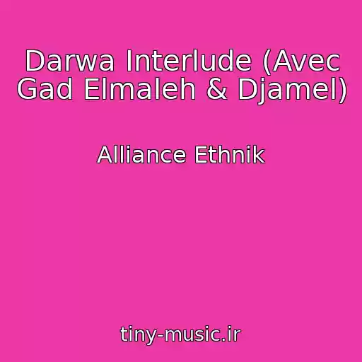 کاور آهنگ Darwa Interlude (Avec Gad Elmaleh & Djamel) از Alliance Ethnik