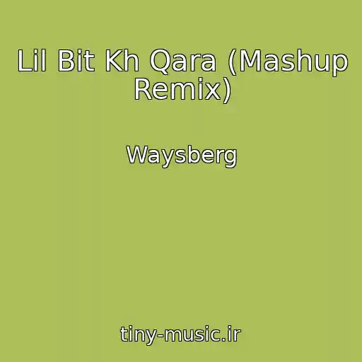 کاور آهنگ Lil Bit Kh Qara (Mashup Remix) از Waysberg