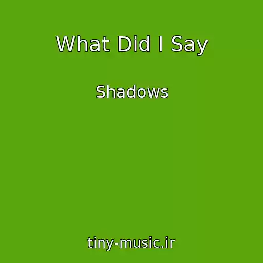 کاور آهنگ What Did I Say از Shadows