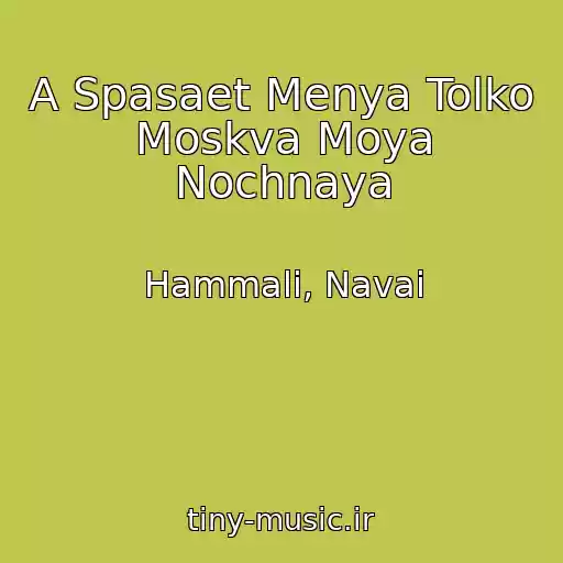 کاور آهنگ A Spasaet Menya Tolko Moskva Moya Nochnaya از Hammali, Navai