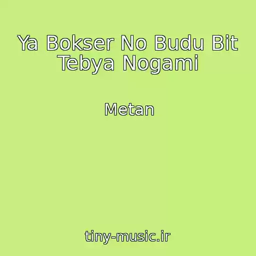 کاور آهنگ Ya Bokser No Budu Bit Tebya Nogami از Metan