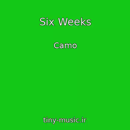کاور آهنگ Six Weeks از Camo