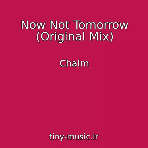 کاور آهنگ Now Not Tomorrow (Original Mix) از Chaim