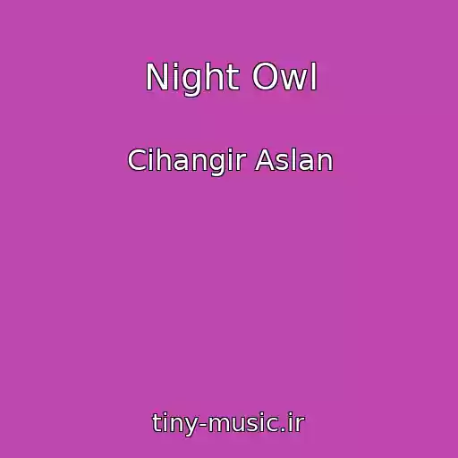 کاور آهنگ Night Owl از Cihangir Aslan