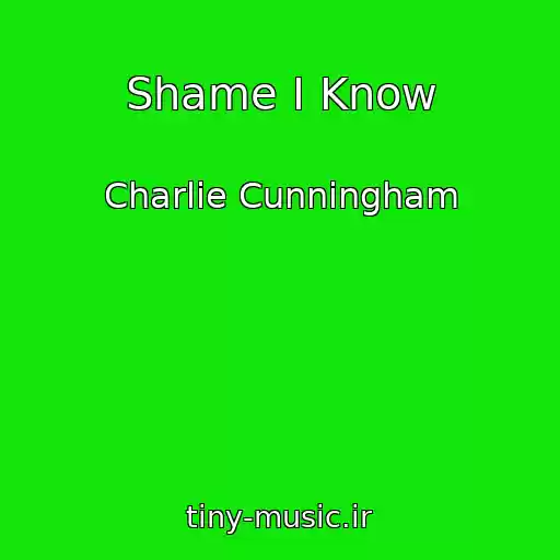 کاور آهنگ Shame I Know از Charlie Cunningham
