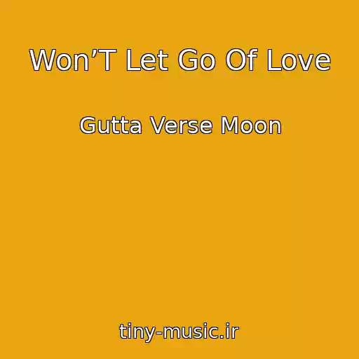 کاور آهنگ Won’T Let Go Of Love از Gutta Verse Moon