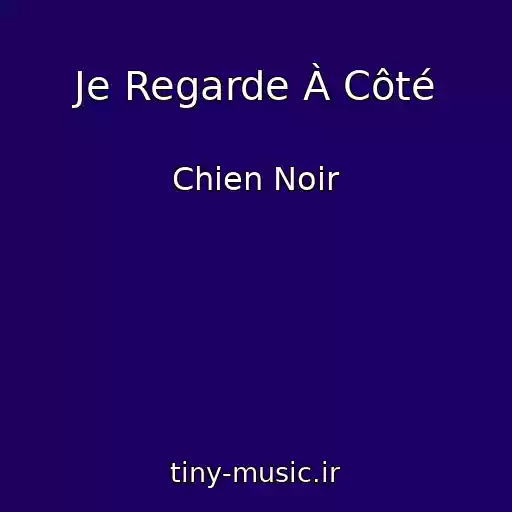 کاور آهنگ Je Regarde À Côté از Chien Noir