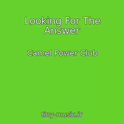 کاور آهنگ Looking For The Answer از Camel Power Club