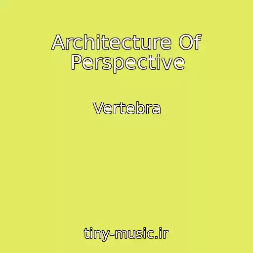 کاور آهنگ Architecture Of Perspective از Vertebra