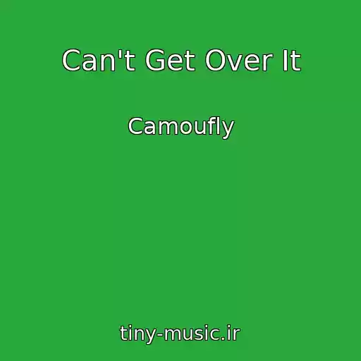 کاور آهنگ Can't Get Over It از Camoufly