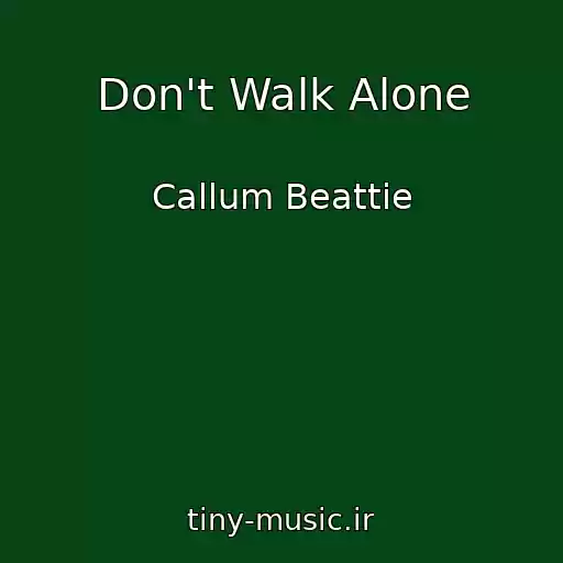 کاور آهنگ Don't Walk Alone از Callum Beattie