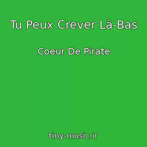کاور آهنگ Tu Peux Crever Là-Bas از Coeur De Pirate