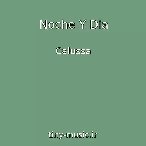 کاور آهنگ Noche Y Dia از Calussa