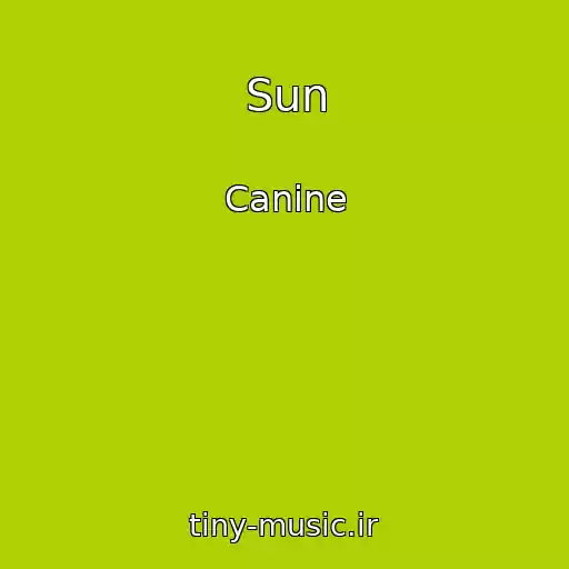 کاور آهنگ Sun از Canine