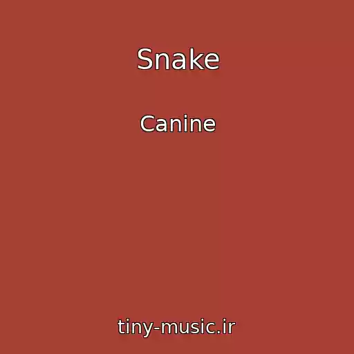 کاور آهنگ Snake از Canine