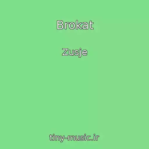 کاور آهنگ Brokat از Zusje