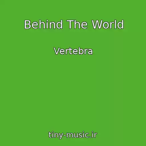 کاور آهنگ Behind The World از Vertebra