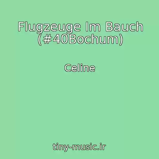 کاور آهنگ Flugzeuge Im Bauch (#40Bochum) از Celine