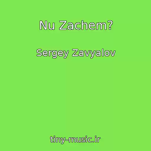 کاور آهنگ Nu Zachem? از Sergey Zavyalov