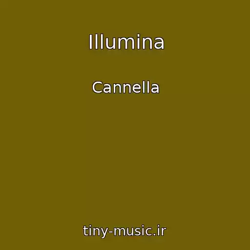 کاور آهنگ Illumina از Cannella