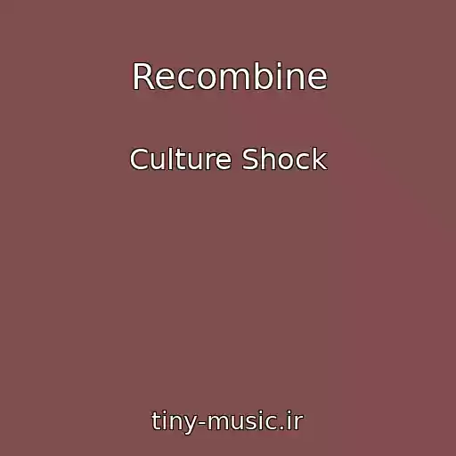 کاور آهنگ Recombine از Culture Shock