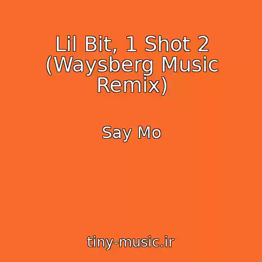 کاور آهنگ Lil Bit, 1 Shot 2 (Waysberg Music Remix) از Say Mo