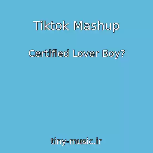 کاور آهنگ Tiktok Mashup از Certified Lover Boy?