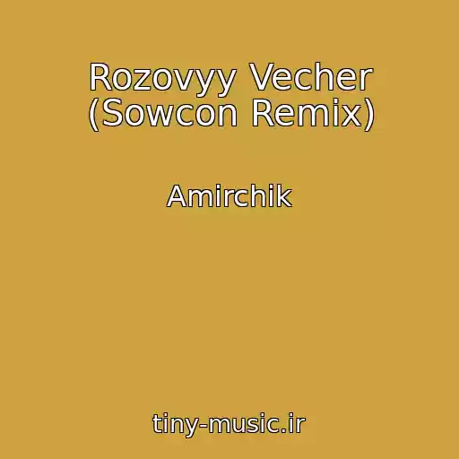 کاور آهنگ Rozovyy Vecher (Sowcon Remix) از Amirchik