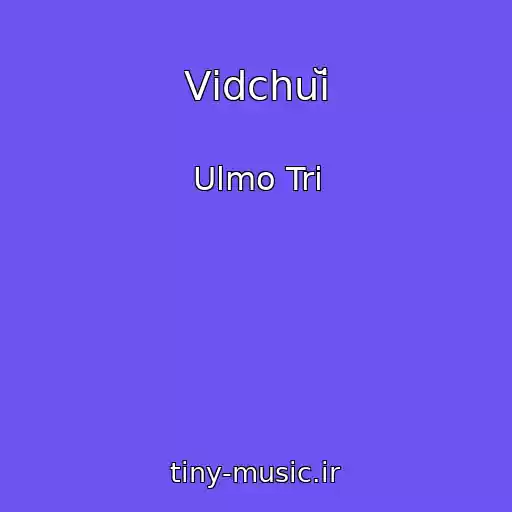 کاور آهنگ Vіdchuĭ از Ulmo Tri