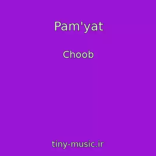 کاور آهنگ Pam'yat از Choob