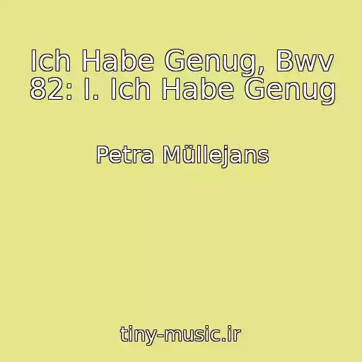 کاور آهنگ Ich Habe Genug, Bwv 82: I. Ich Habe Genug از Petra Müllejans