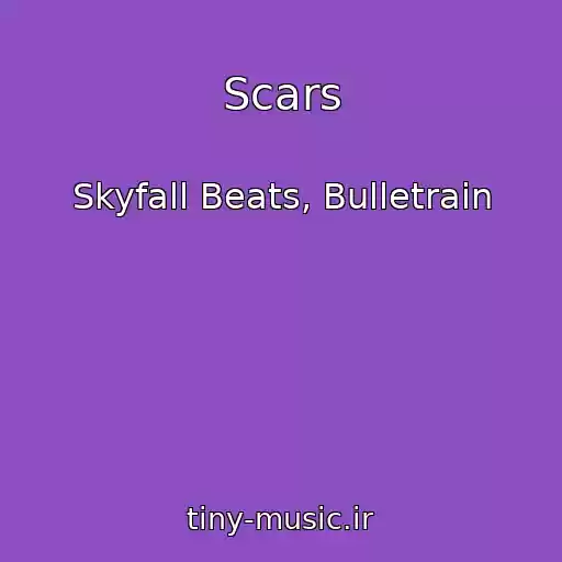 کاور آهنگ Scars از Skyfall Beats, Bulletrain
