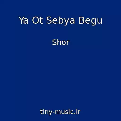 کاور آهنگ Ya Ot Sebya Begu از Shor