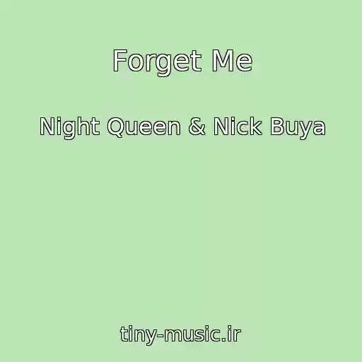 کاور آهنگ Forget Me از Night Queen & Nick Buya