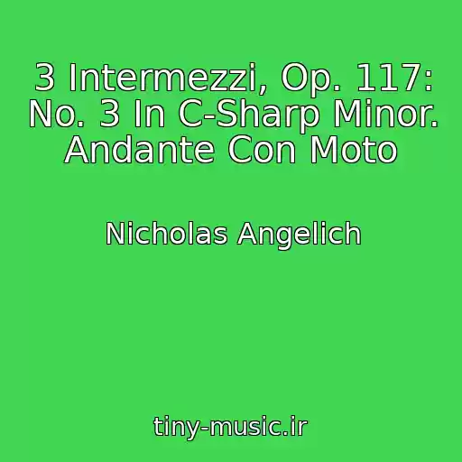 کاور آهنگ 3 Intermezzi, Op. 117: No. 3 In C-Sharp Minor. Andante Con Moto از Nicholas Angelich