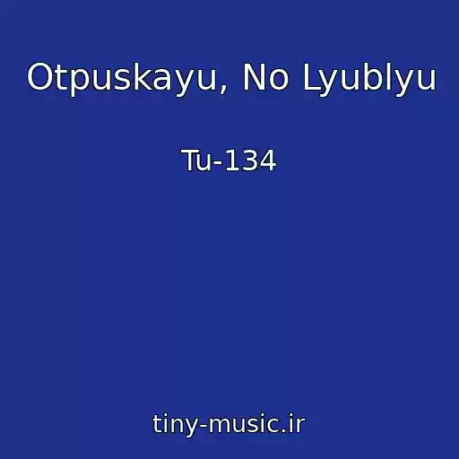 کاور آهنگ Otpuskayu, No Lyublyu از Tu-134