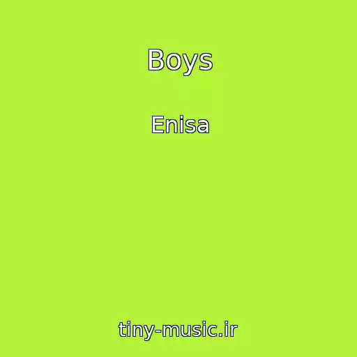 کاور آهنگ Boys از Enisa