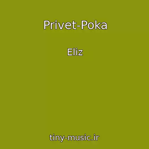 کاور آهنگ Privet-Poka از Eliz