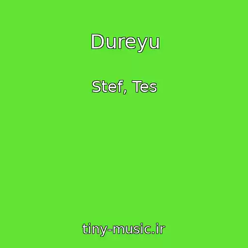 کاور آهنگ Dureyu از Stef, Tes