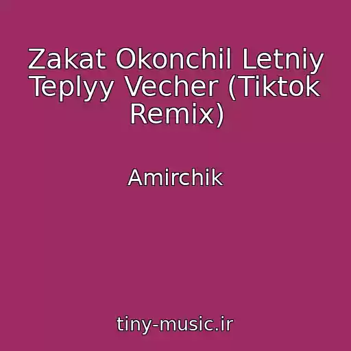 کاور آهنگ Zakat Okonchil Letniy Teplyy Vecher (Tiktok Remix) از Amirchik