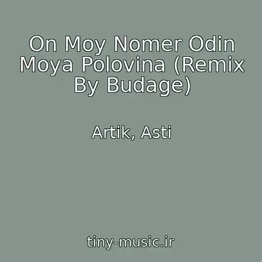 کاور آهنگ On Moy Nomer Odin Moya Polovina (Remix By Budage) از Artik, Asti
