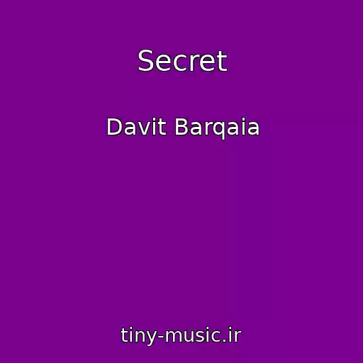 کاور آهنگ Secret از Davit Barqaia