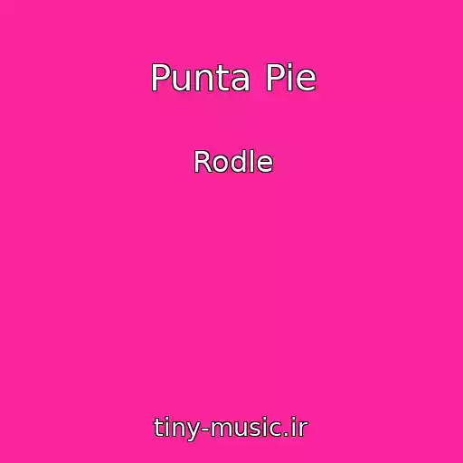 کاور آهنگ Punta Pie از Rodle