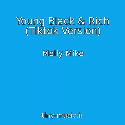 کاور آهنگ Young Black & Rich (Tiktok Version) از Melly Mike