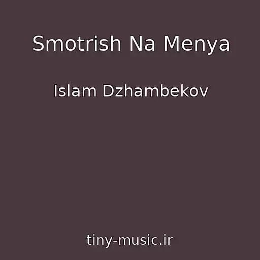کاور آهنگ Smotrish Na Menya از Islam Dzhambekov